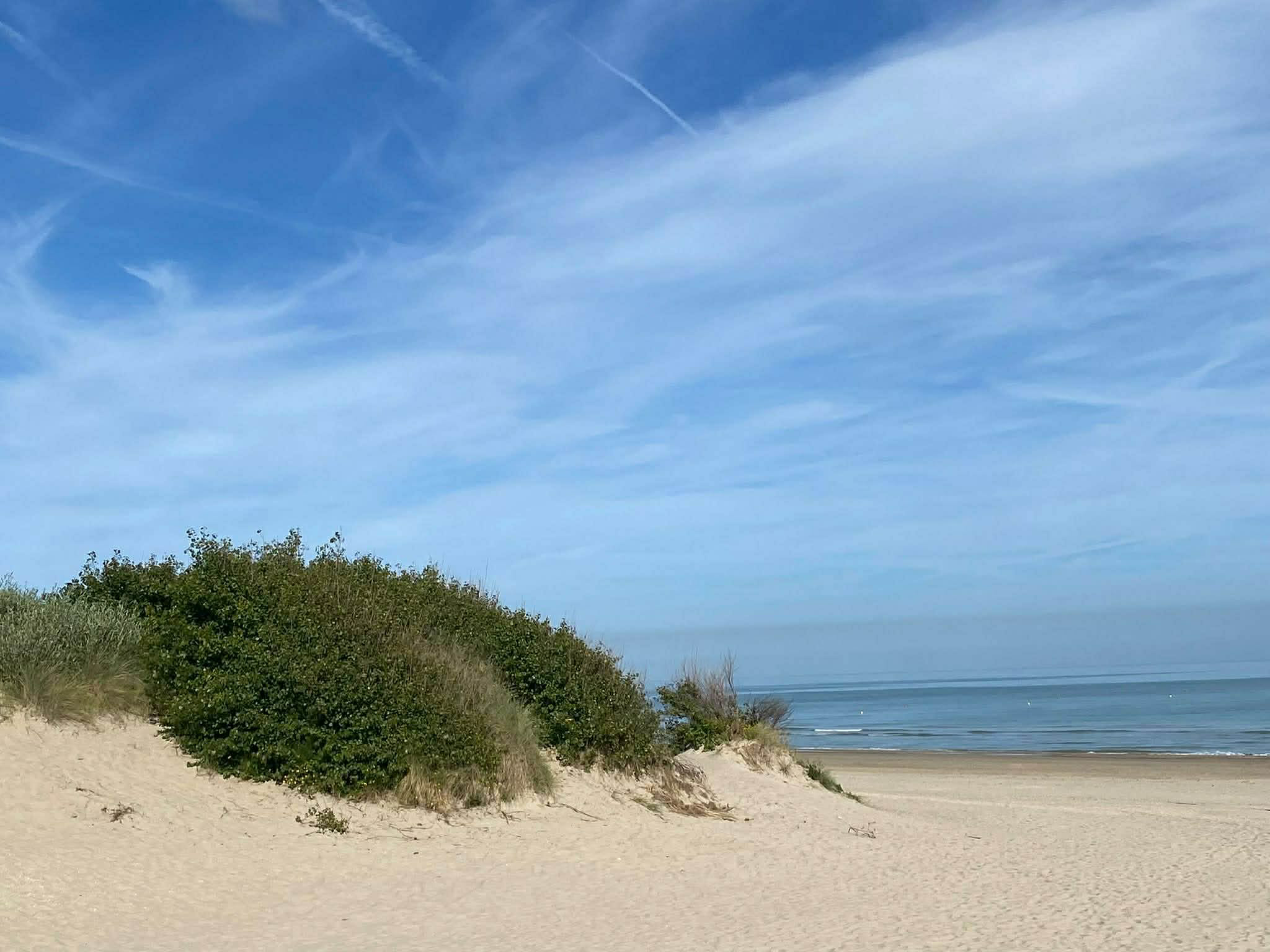 Réserve du Westhoek — 2